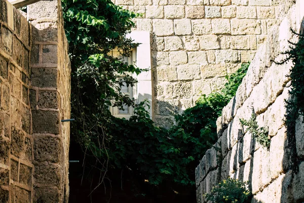 Colores de Israel — Foto de Stock