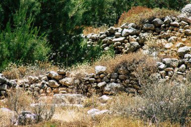 İsrail 'in Renkleri