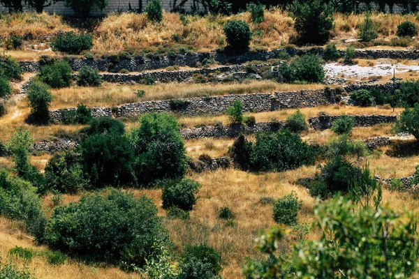 Kleuren van Israël — Stockfoto