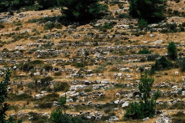 Kleuren van Israël — Stockfoto