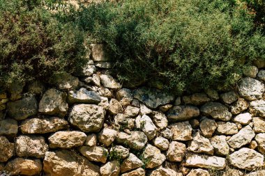 İsrail 'in Renkleri