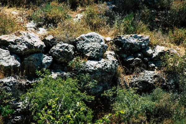 İsrail 'in Renkleri — Stok fotoğraf