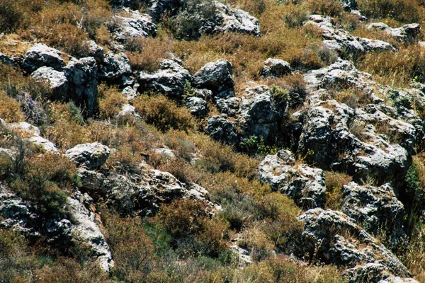 Cores de israel — Fotografia de Stock