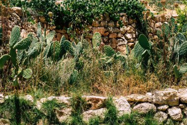 İsrail 'in Renkleri