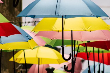 İsrail 'in Renkleri