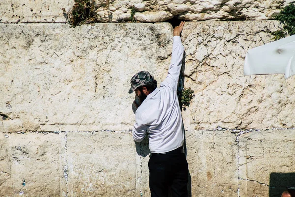 Colores de Israel — Foto de Stock