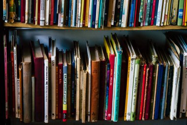 İsrail 'in Renkleri