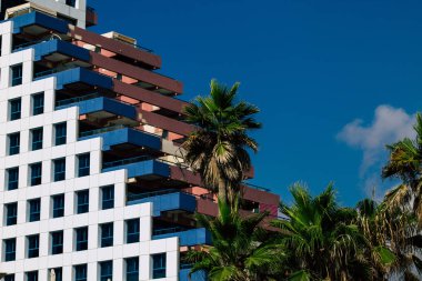 İsrail 'in Renkleri