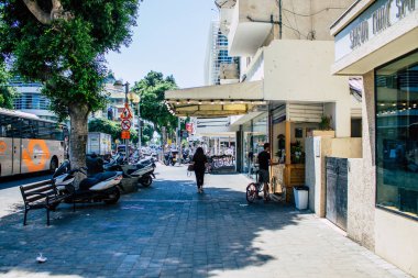 İsrail 'in Renkleri
