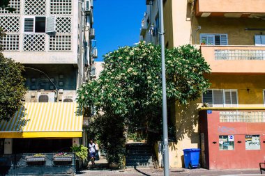 İsrail 'in Renkleri