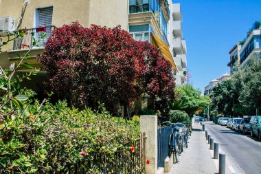 İsrail 'in Renkleri