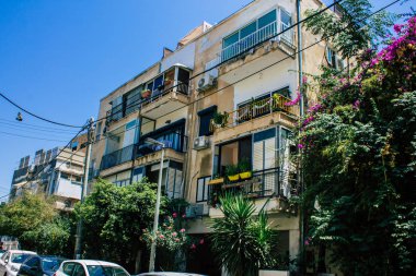 İsrail 'in Renkleri