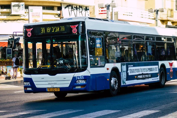 Colors of Israel — Stock Photo, Image