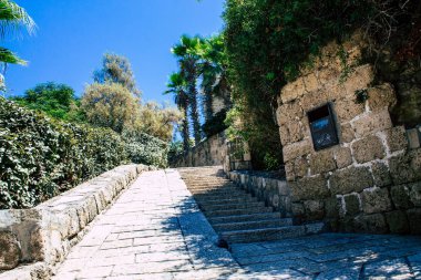 İsrail 'in Renkleri