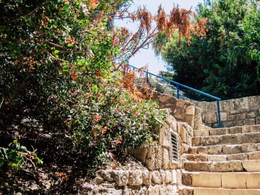 İsrail 'in Renkleri