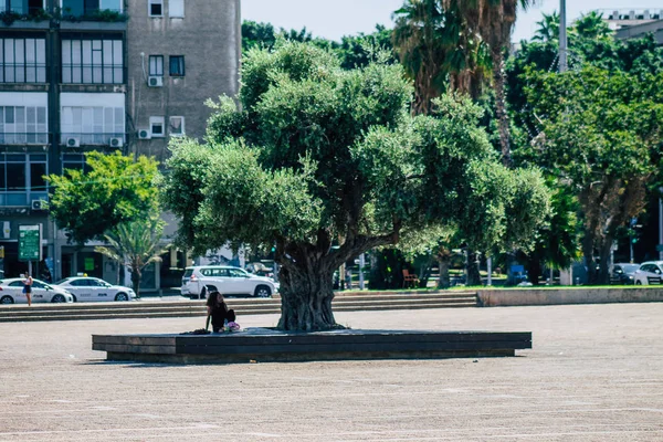 Colores de Israel — Foto de Stock