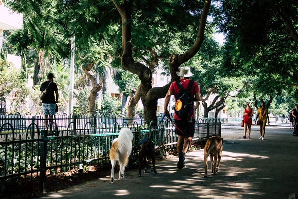 İsrail 'in Renkleri