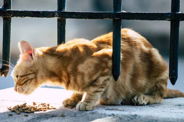 Colori della Grecia — Foto Stock