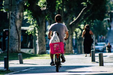 İsrail 'in Renkleri