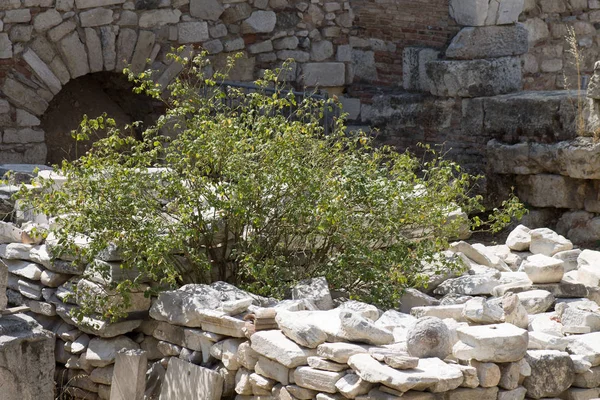 Colori della Grecia — Foto Stock