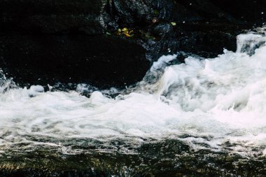 İtalya'nın renkleri