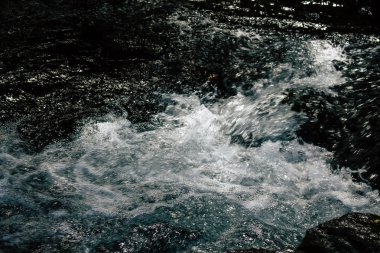 İtalya'nın renkleri