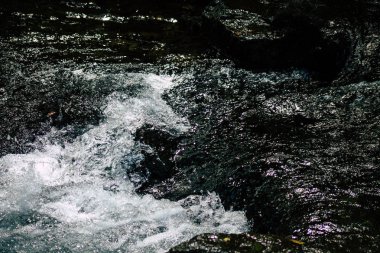 İtalya'nın renkleri