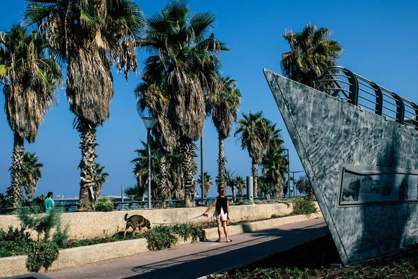 Colors of Israel — Stock Photo, Image