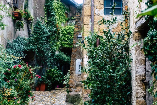 Цвета Италии — стоковое фото