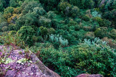 İtalya'nın renkleri
