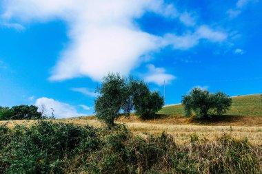 İtalya'nın renkleri