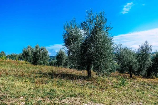 Colors of Italy — Stock Photo, Image