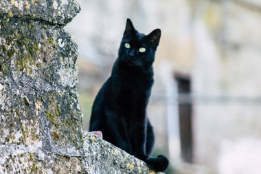 İtalya'nın renkleri