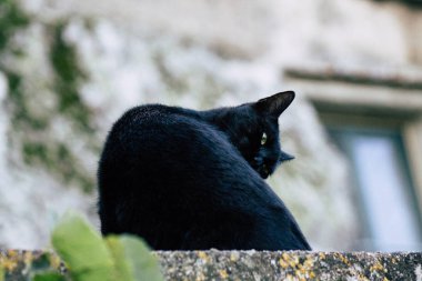 İtalya'nın renkleri