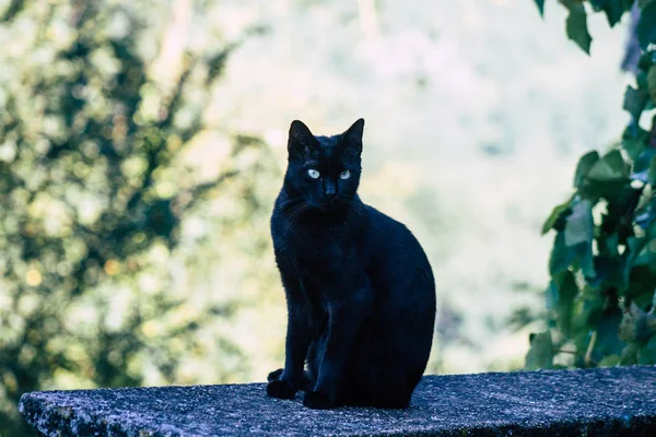 Barvy z Itálie — Stock fotografie