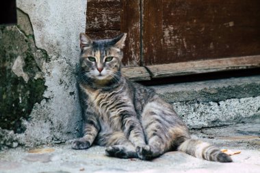 İtalya'nın renkleri