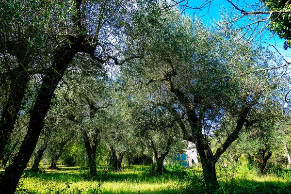 Colores de Italia — Foto de Stock