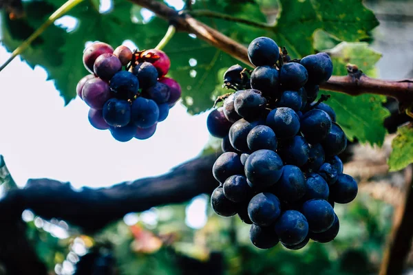 Colors of Italy — Stock Photo, Image