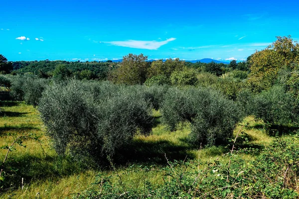 Colors of Italy — Stock Photo, Image