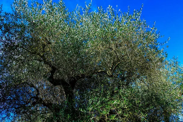 Colores de Italia — Foto de Stock