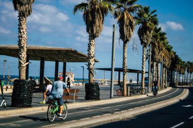 İsrail 'in Renkleri