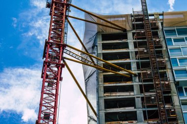 İsrail 'in Renkleri