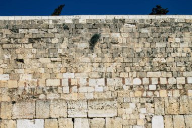 İsrail 'in Renkleri