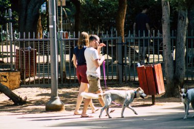 İsrail 'in Renkleri