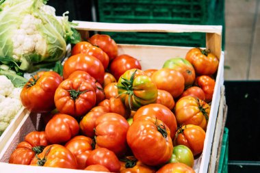 İtalya'nın renkleri