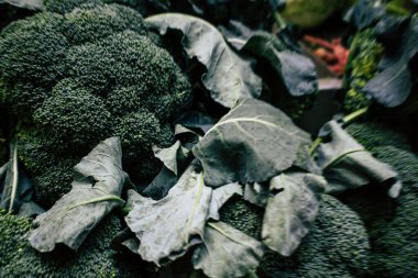 İtalya'nın renkleri