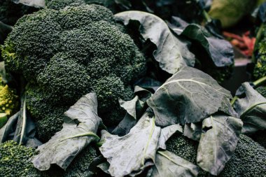 İtalya'nın renkleri