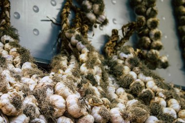 İtalya'nın renkleri