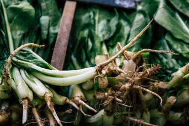 İtalya'nın renkleri