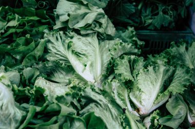 İtalya'nın renkleri